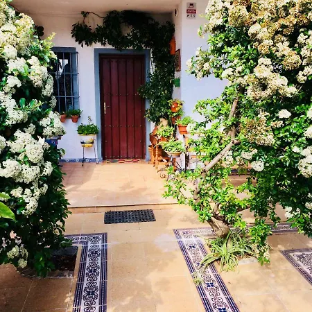 Ferrer Sevilla Holiday home Gines