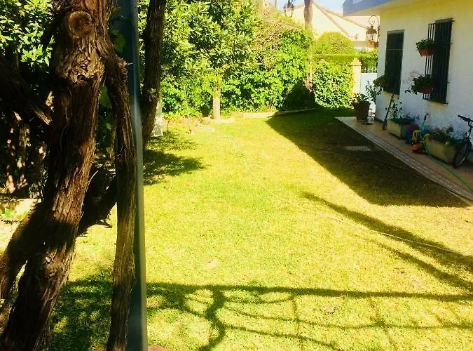 Ferrer Sevilla * Ginés